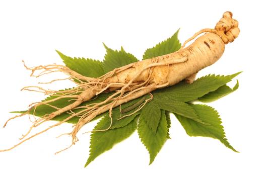 Ginseng