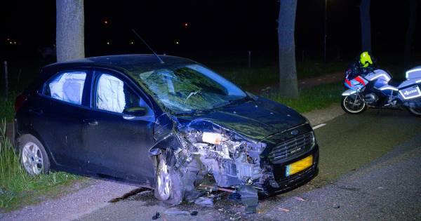 Man gewond na botsing tegen boom in Haghorst