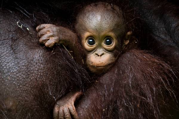 Eden: paradijs op aarde