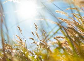 Lenteweer op komst: op deze dag wordt het 15+ graden