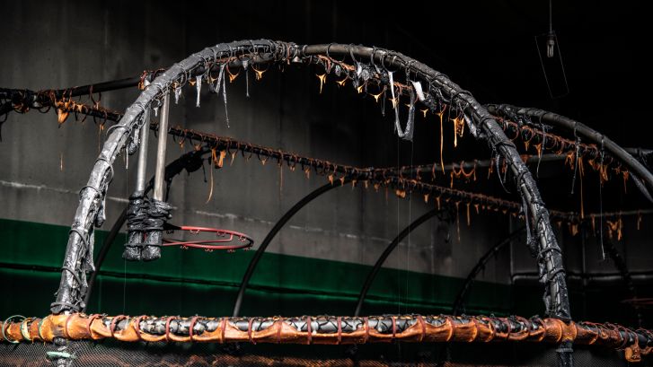 Dit is nog over van Wijchens speelparadijs Monkey Town na de brand