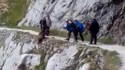 Hikers duwen everzwijn van klif in Spanje
