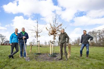 Gratis bomen tegen klimaatverandering in Almelo