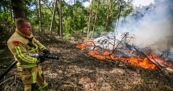 Natuurbrand bij Berkendonk in Helmond.