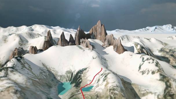 Patagonia Wings