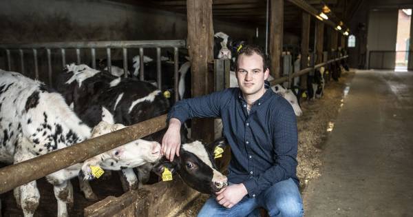 Jonge boeren hebben hulp nodig, want ze vertrouwen de overheid niet meer - Tubantia