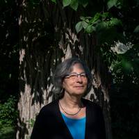 ‘De klimaatverandering is steeds meer waarneembaar. Vandaag gaat de strijd over de praktische oplossingen. Die zijn er’