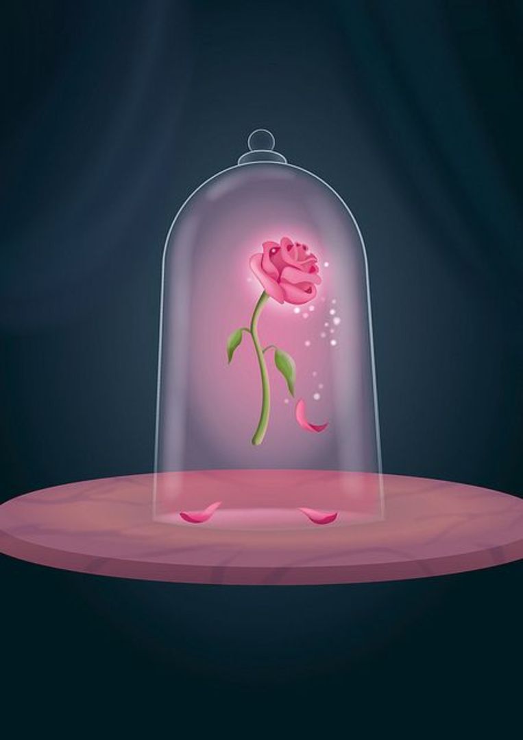 Welp Waarom is de roos (al eeuwen!) de bloem van de liefde? - CityBuzz GM-37