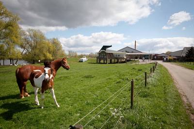 Vrijspraak voor beheerders steenfabriek Dodewaard met ‘asbestevenement’