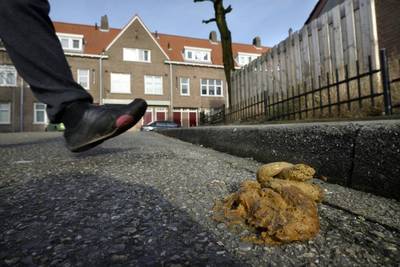 Tiel gaat undercover controleren op hondenpoep
