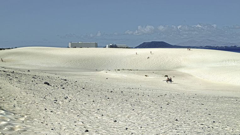 Houellebecqs universum van kleine deeltjes De Volkskrant