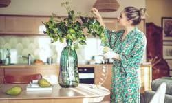 9 mooie kamerplanten voor een instant lekkere geur in huis