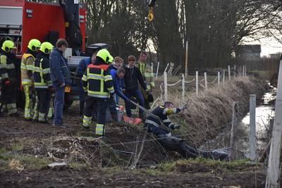 Brandweer redt uitgeput paard uit de sloot in Boven-Leeuwen