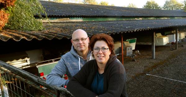 Saneringskosten asbestdak lopen in de tienduizenden euro's | Best, Meierijstad en Son - Eindhovens D