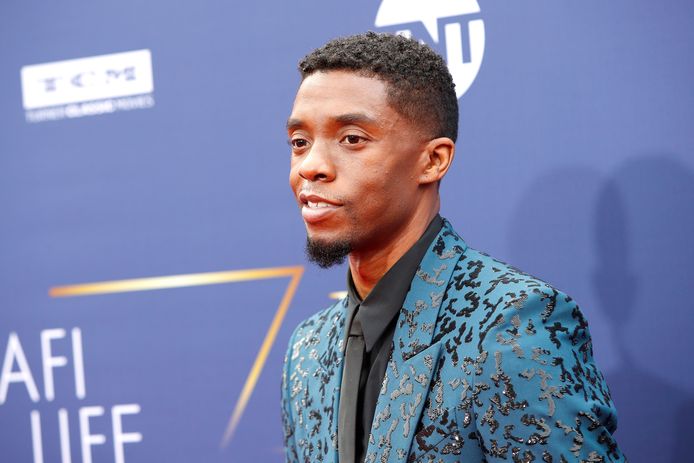 'Black Panther'-held Chadwick Boseman krijgt standbeeld in ...