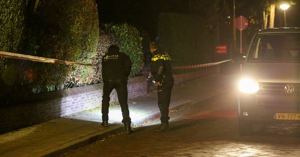 Mannen uit Almelo en Den Ham opgepakt na overval op pizzabezorger (17)