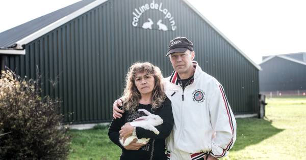 Hoogleraar Sackers noemt strafvoorstel 'vrij pittig'.