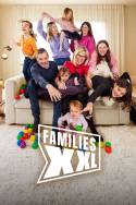 boxcover van Families XXL