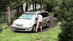 Man opent portier om beer uit zijn auto te laten. Het dier heeft een andere oplossing