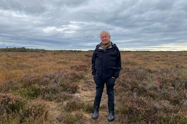 Simon Schama's Story of Us