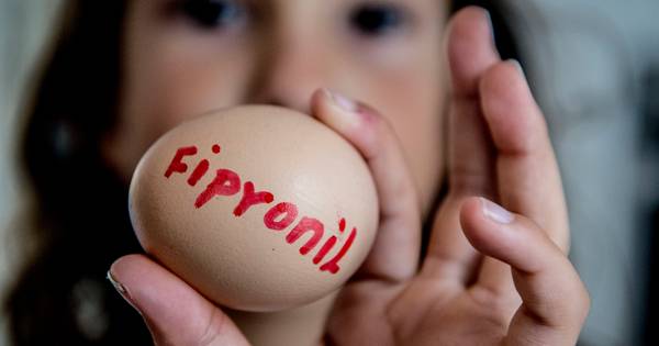 'Chickfriend ging te lang door met gif, rijk moet pluimveehouders compenseren'