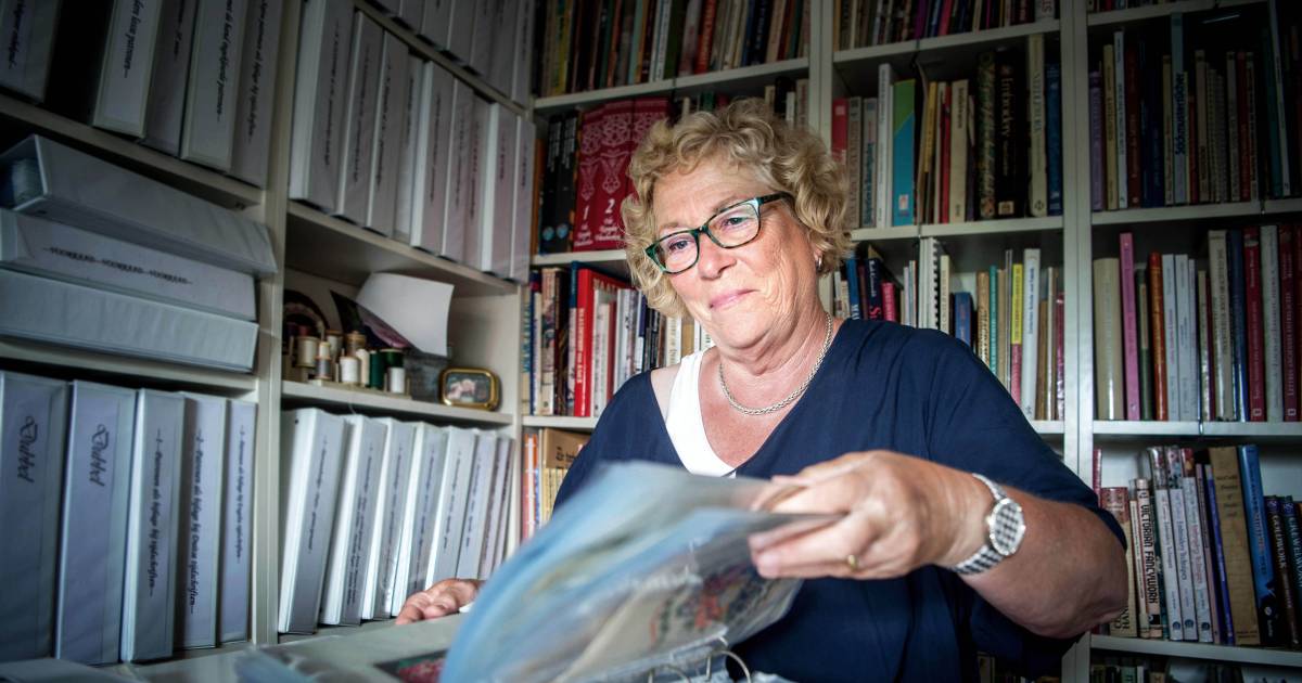 Borduurhistorie Tiel Inspireert Het Werk Van Diny Gerards Mensink Uit Afferden Maas En Waal Gelderlander Nl