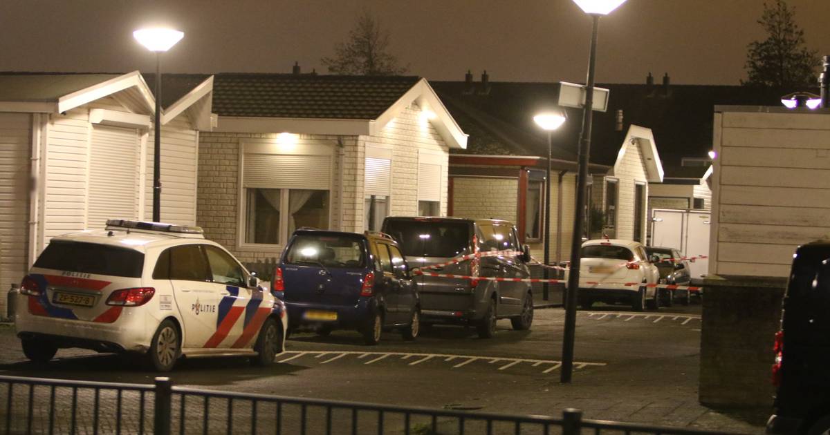 Vermoedelijke auto-inbreker steekt twee mannen bij vechtpartij op de Tom Mandersstraat .