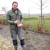 Boer Tom: “3 tips om eierschalen te gebruiken voor je tuin”
