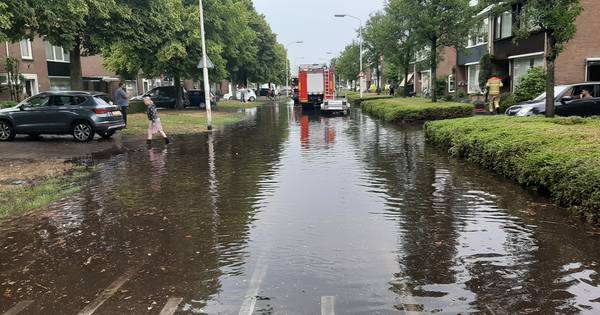 Aso's maken met hun boeggolven waterschade nog groter - BD.nl
