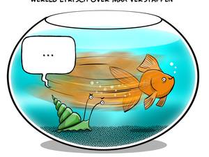 Doe elke dag mee met een nieuwe 'Uit de kom'