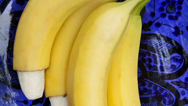 Piemels Zien Er Toch Wel Raar Uit Met Of Zonder Voorhuid De Volkskrant