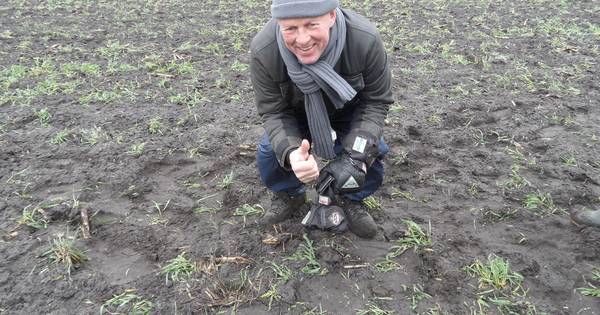 Eerste kievitsei Overijssel gevonden in Lutten | Hardenberg - De Stentor