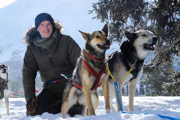 Snow dogs into the wild