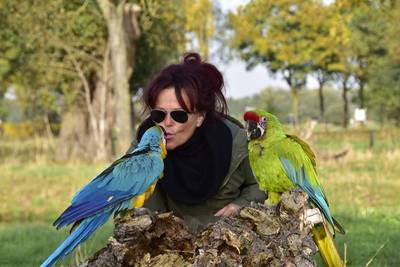 Dood papegaai Rambo schokt verzorgster van zijn broer: ‘Ik huil maar door’