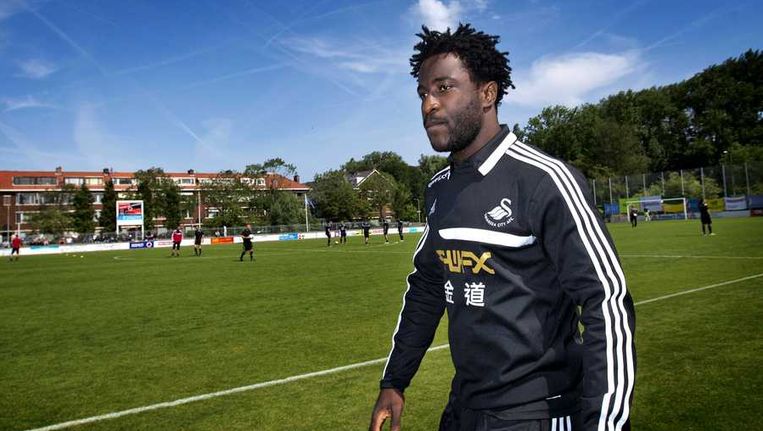 Topschutter Wilfried Bony (Vitesse) tekent voor vier seizoenen bij Swansea | De Morgen