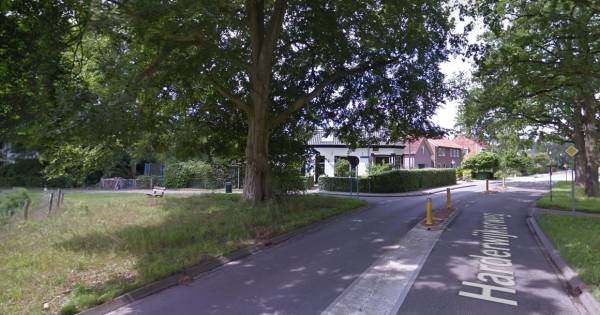 Oude eik strijdpunt bij aanleg fietsoversteek