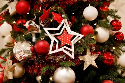 Kerstboom kopen? Dit is wat je moet weten