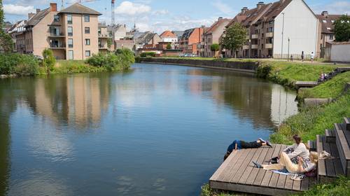 Blauwalgen veroveren Vlaanderen: hoe komt dat?