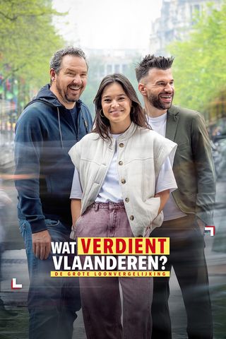 Wat verdient Vlaanderen