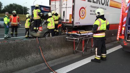 Annelies verstraete parket