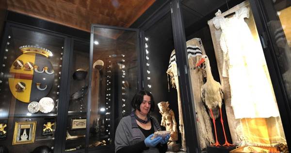 Zeeuws Museum vernieuwt Wonderkamers | Zeeuws nieuws - PZC