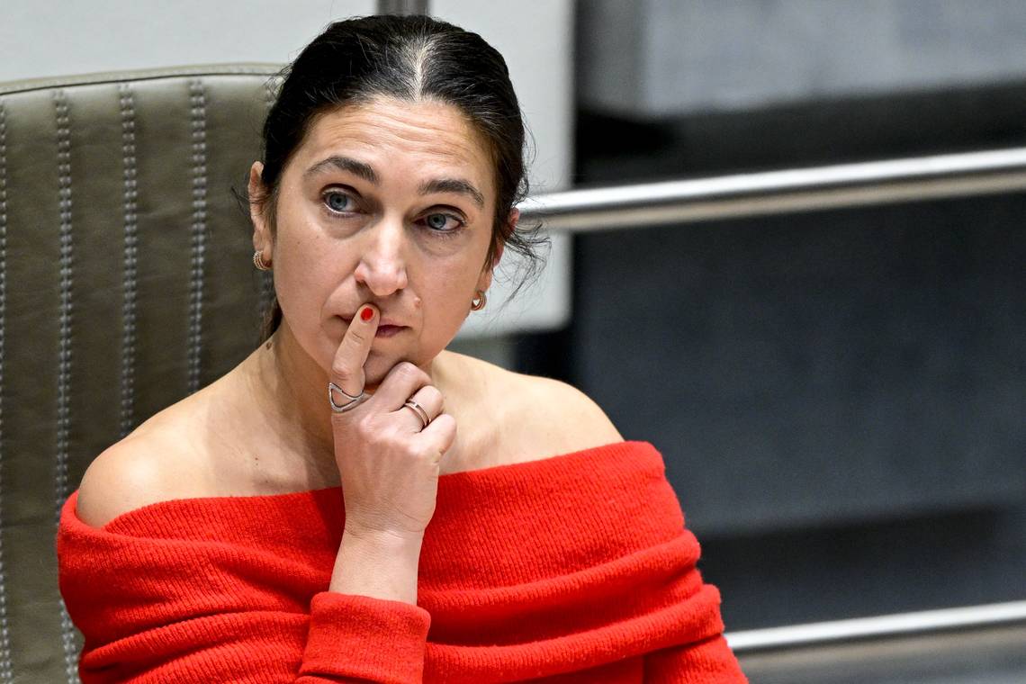 Subsidie aan Thomas More van Zuhal Demir (N-VA) leidt tot hoorzittingen, dankzij onthoudingen van coalitiepartners Vooruit en cd&v