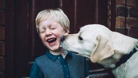 Hoe honden kunnen helpen bij kankerbehandelingen