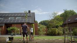Fruitbomen planten doe je zo