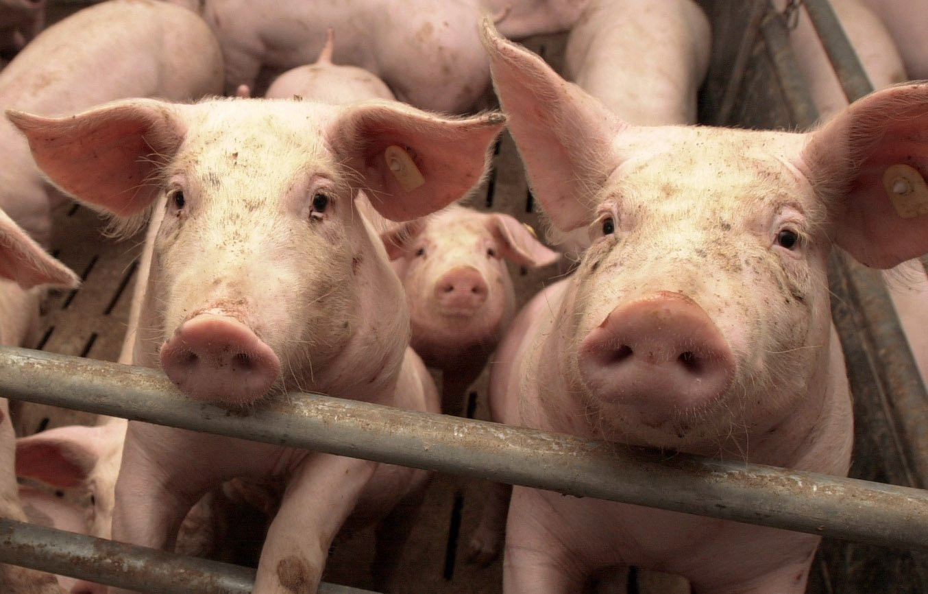 Rabobank en ING investeren miljarden in