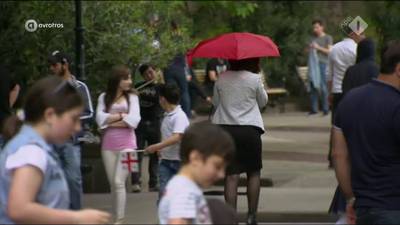 Molpanel: Was dat Simone in het park, die dame met de rode paraplu?