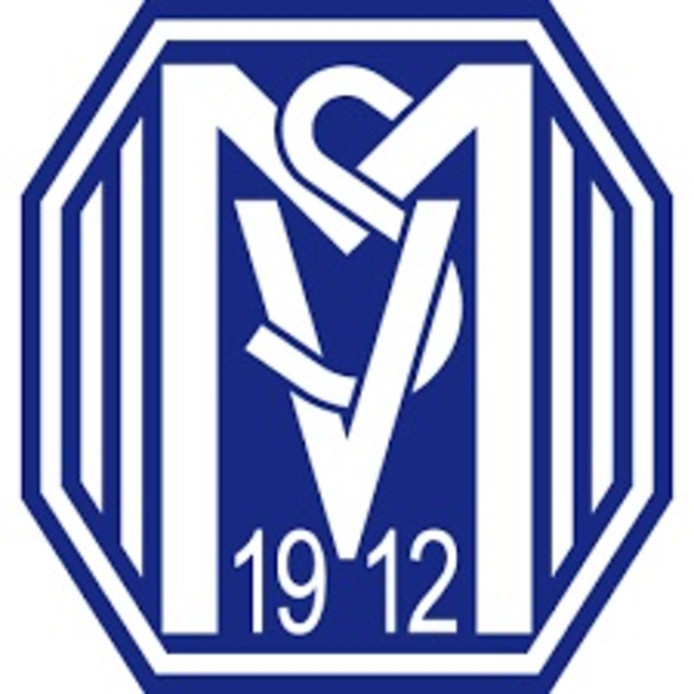 Menno Heerkes promoveert met SV Meppen | Amateurvoetbal ...