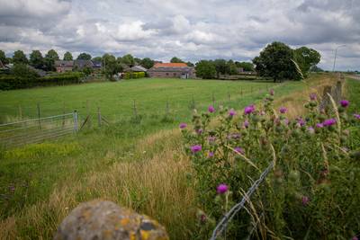 Na een jarenlange bouwstop komen er eindelijk weer huizen bij in Niftrik: maar wáár?