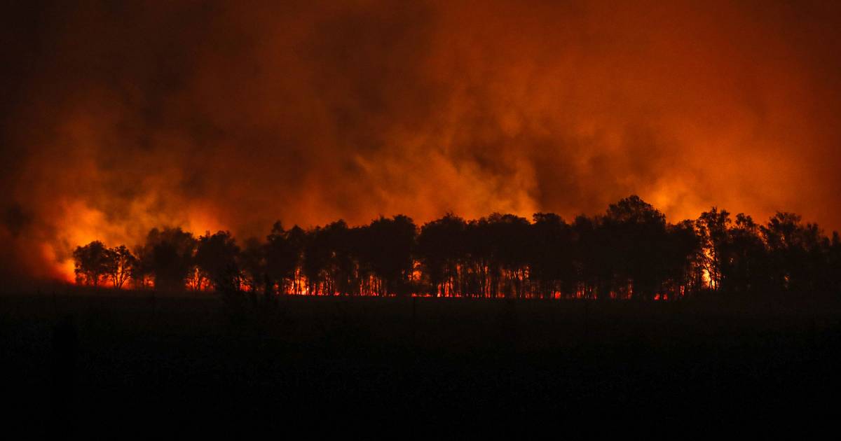 Bewoners Peel willen weten hoe het met de brand zat: 'Lopen we in de toekomst weer gevaar?' - Eindho