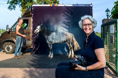 Portretfoto's van je paard? Eveline komt bij je langs met haar Mobiele Paarden Fotostudio